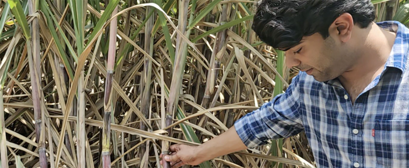 From equations to the soil: Studying food systems between India and Italy